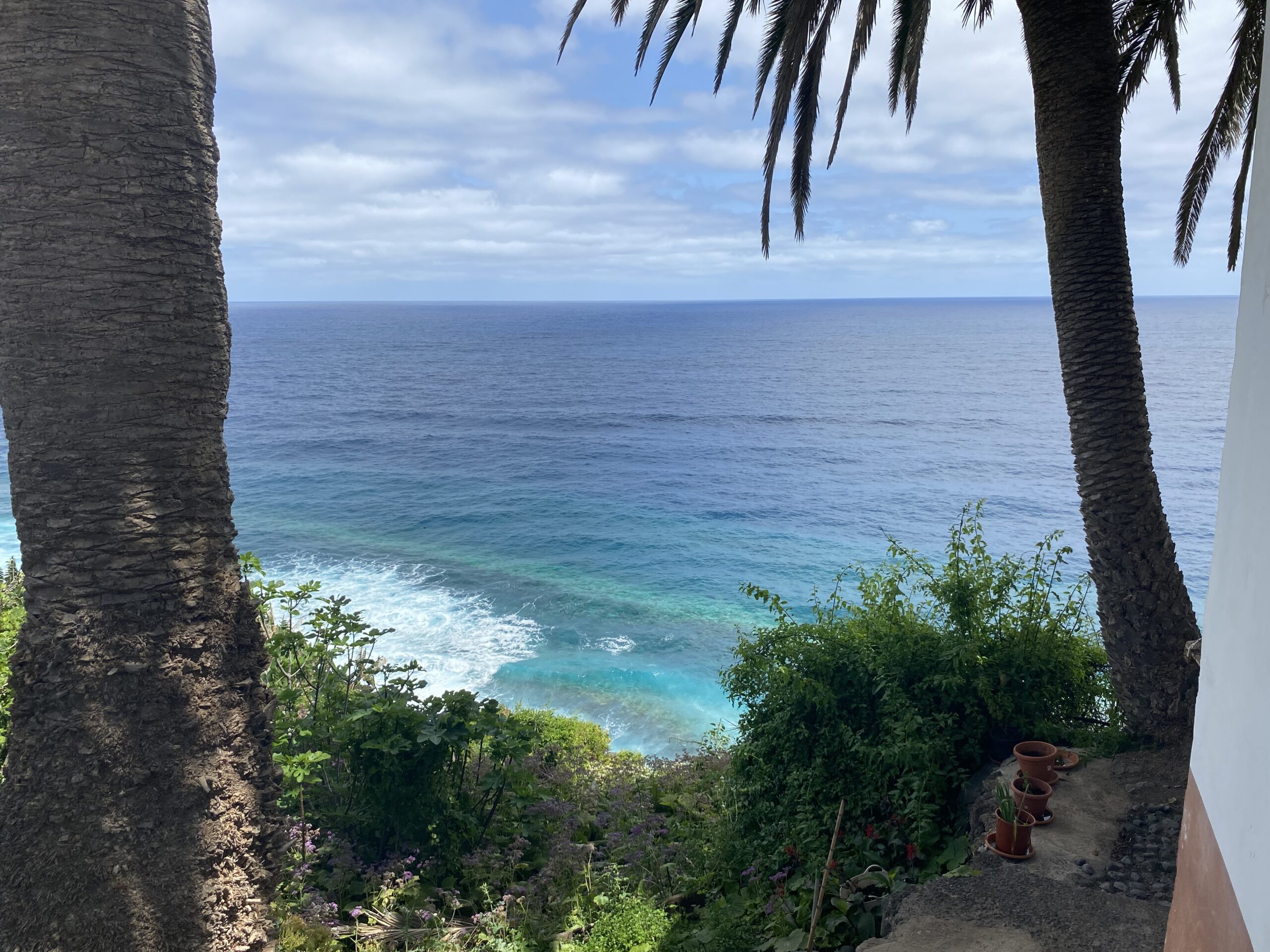 You are currently viewing Az érzéketlen