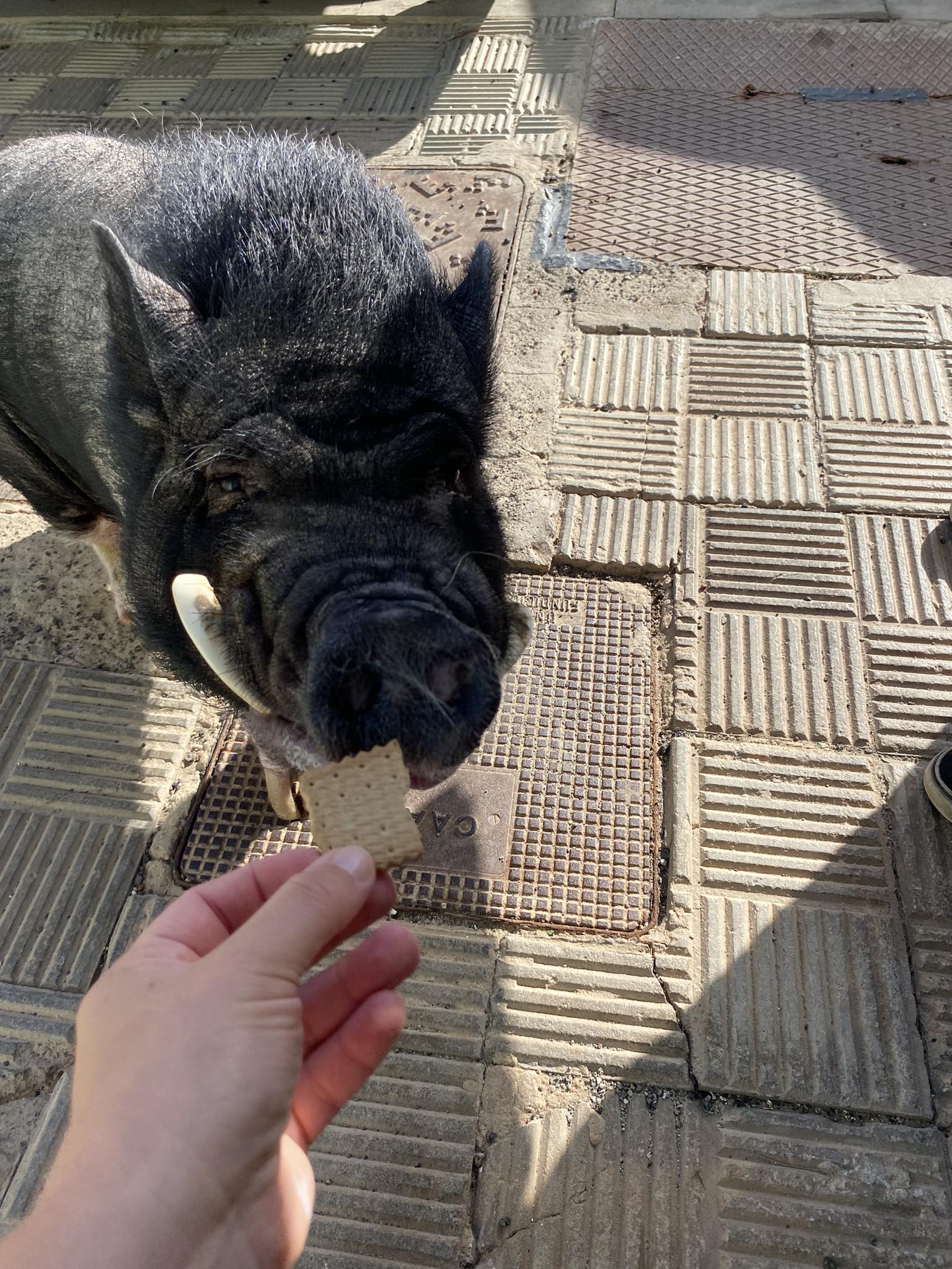 You are currently viewing Újraindítás