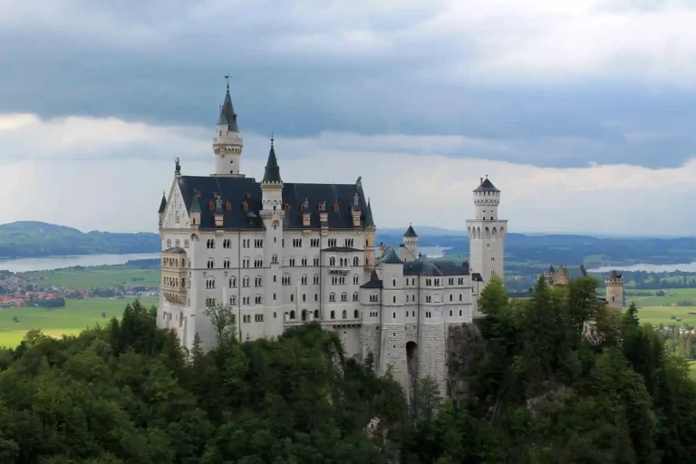 Read more about the article Mese